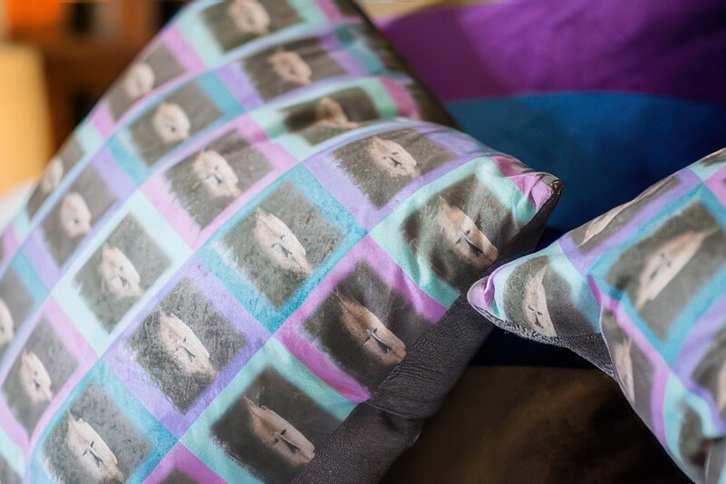 Close-up of decorative pillows from The Boathouse collection, featuring a pattern of animal faces in colorful squares. The pillows rest against a bed, with a blurred lamp in the background providing warm lighting.